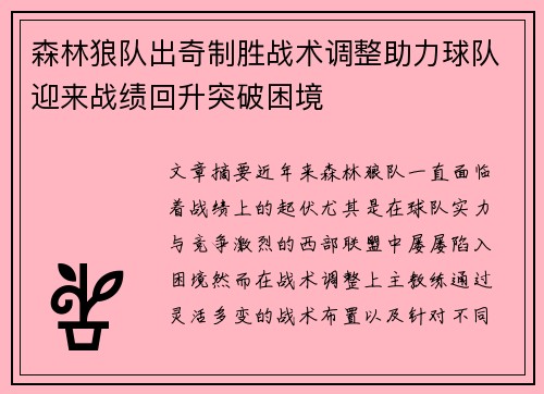 森林狼队出奇制胜战术调整助力球队迎来战绩回升突破困境