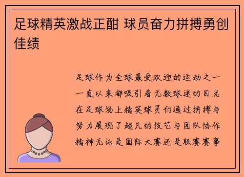 足球精英激战正酣 球员奋力拼搏勇创佳绩